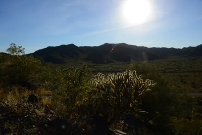 DSC_1851 (Large).JPG